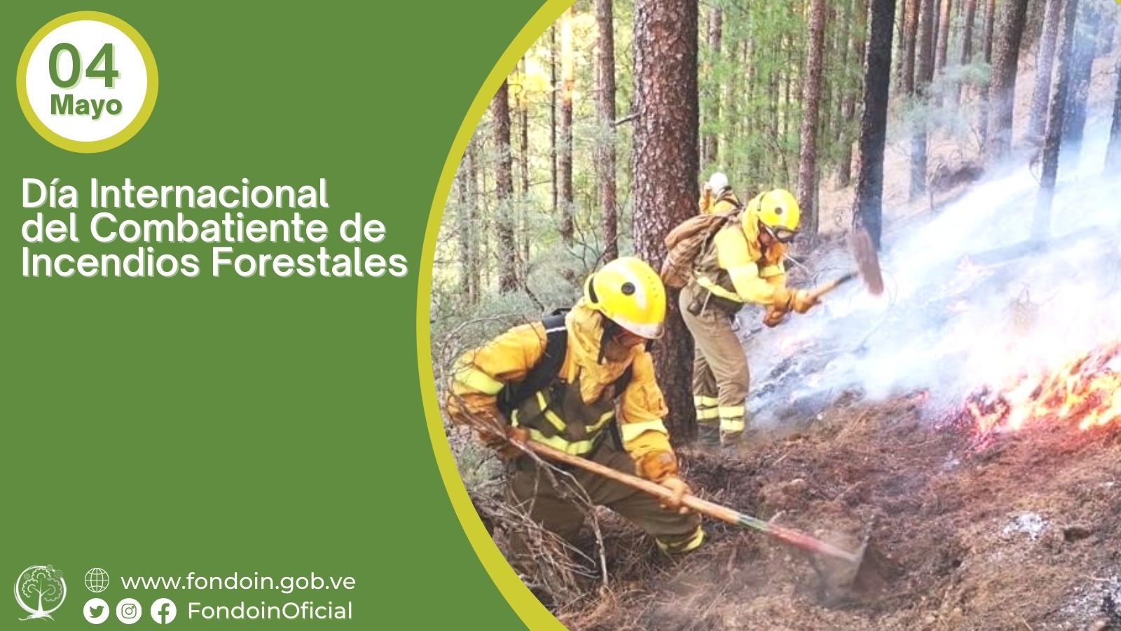 #EFEMÉRIDES | Día Internacional Del Combatiente De Incendios Forestales ...